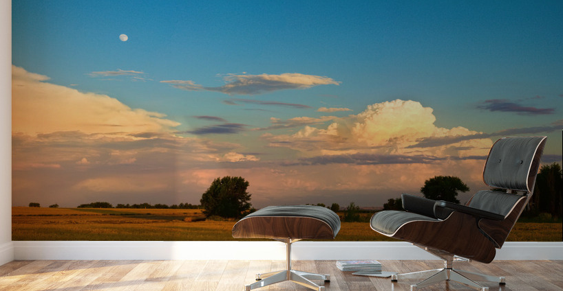 Thunderstorm  Front Moon Panoramic Wall Murals