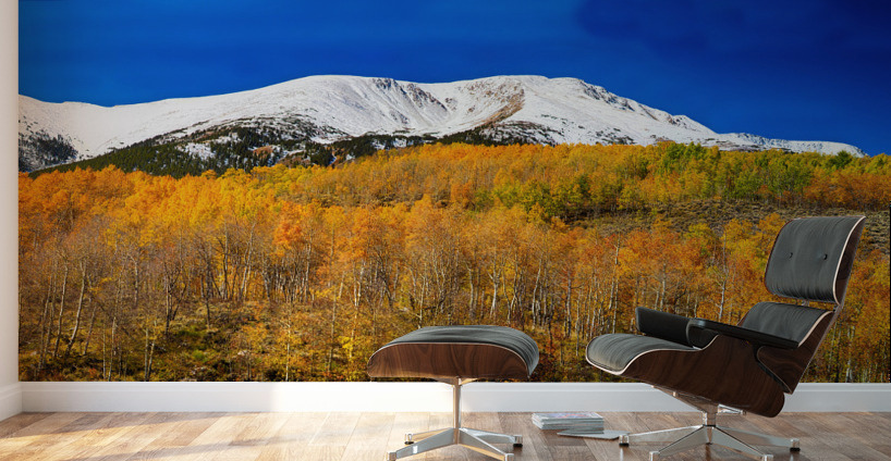 Colorado Rocky Mountain Independence Pass  Wall Murals
