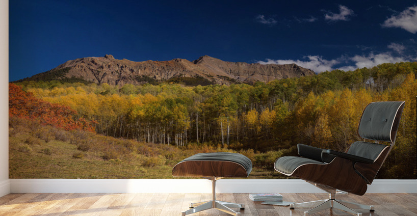 SW Rocky Mountain Autumn Panorama View Wall Murals