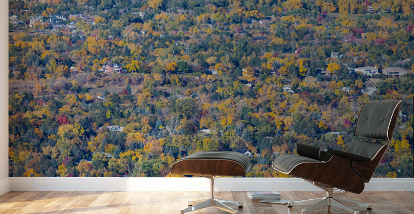 Fall Foliage Boulder Colorado Wall Murals