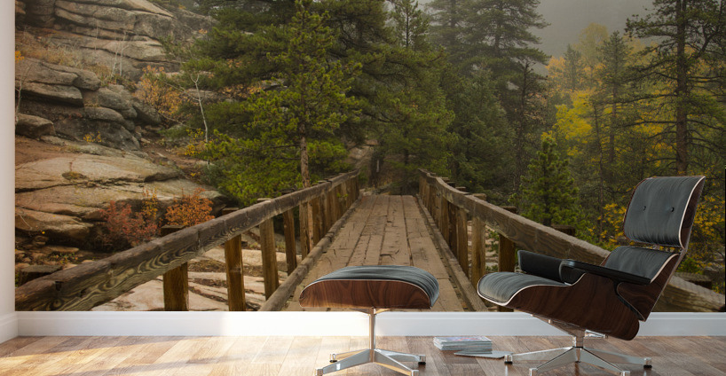 Bridge Into The Clouds 48x36 Wall Murals