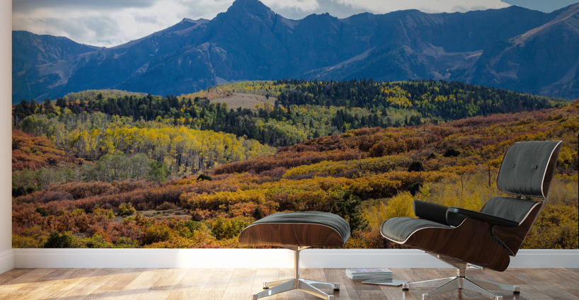Colorado Color Bonanza Wall Murals