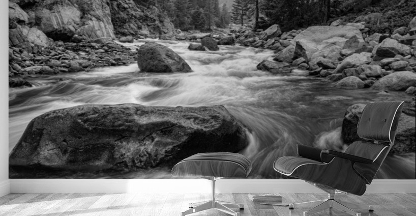 Colorado Black White Canyon Portrait Wall Murals