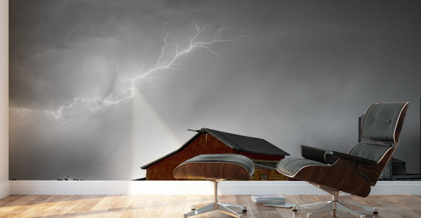 Watching the Farm Storm Wall Murals