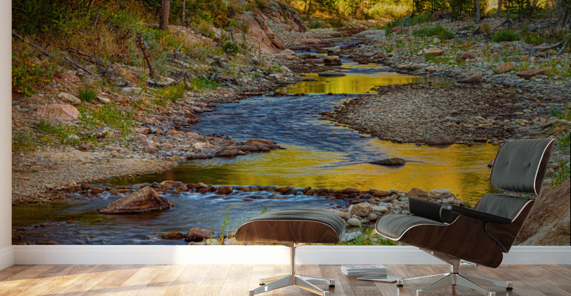 Golden Fishing Stream Wall Murals