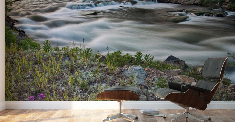 South Boulder Creek Summer View Wall Murals