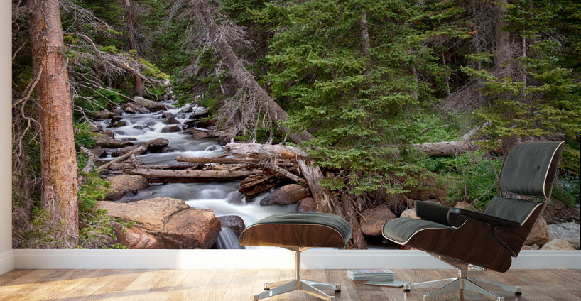 Rocky Mountains Stream Scenic Landscape Wall Murals