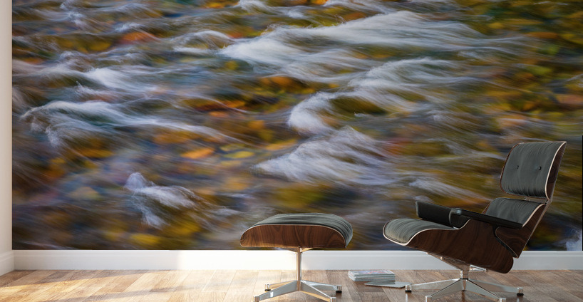 South Boulder Creek In Living Color Wall Murals