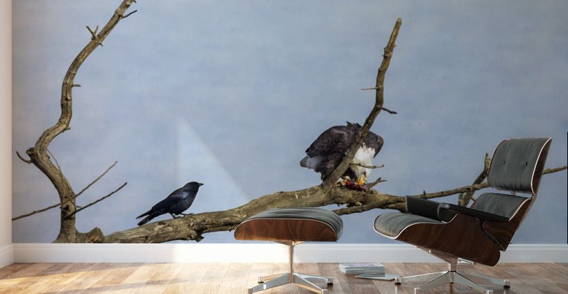 Will You Share Wall Murals