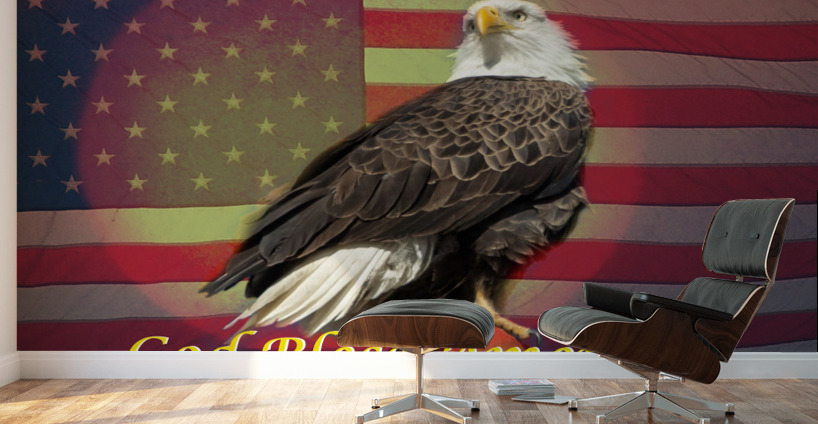 God Bless America Wall Murals