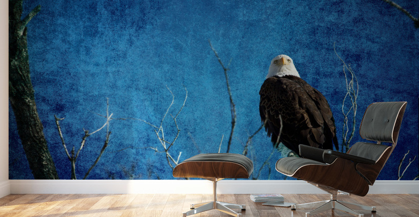 Bald Eagle Blues Into Night Wall Murals