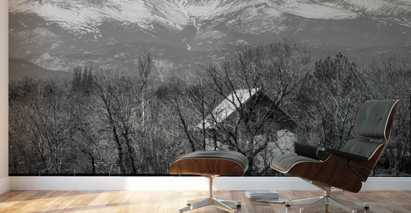 St Vrain Ponds Longs Peak View In Black and White Wall Murals