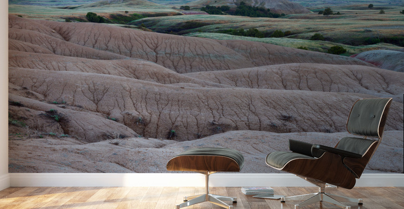 Contrasting Textures - Cracked Badlands and Colorful Grasslands Wall Murals