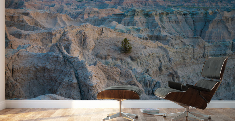 Enigmatic Beauty - Badlands National Parks Maze of Buttes Wall Murals