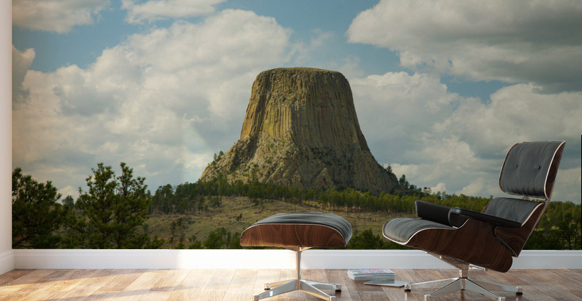 Majestic Devils Tower in Wyoming Amidst Pine Forest Wall Murals