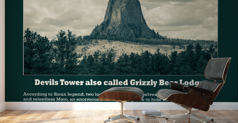 Devils Tower also called Grizzly Bear Lodge Poster Wall Murals