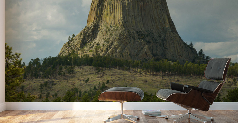Majestic Devils Tower in Wyoming Surrounded by Pine Forest Wall Murals
