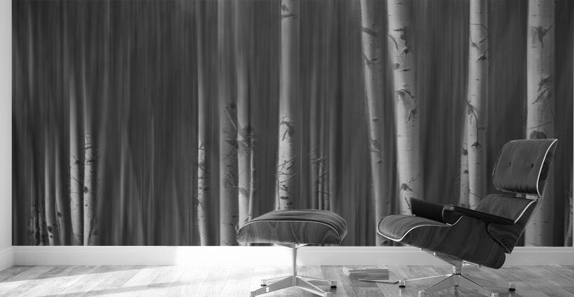 Somewhere Along the Road Dreaming Black and White Wall Murals