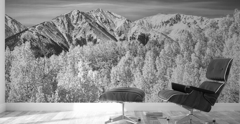 Colorado Rocky Mountain Autumn Beauty Black and White Wall Murals