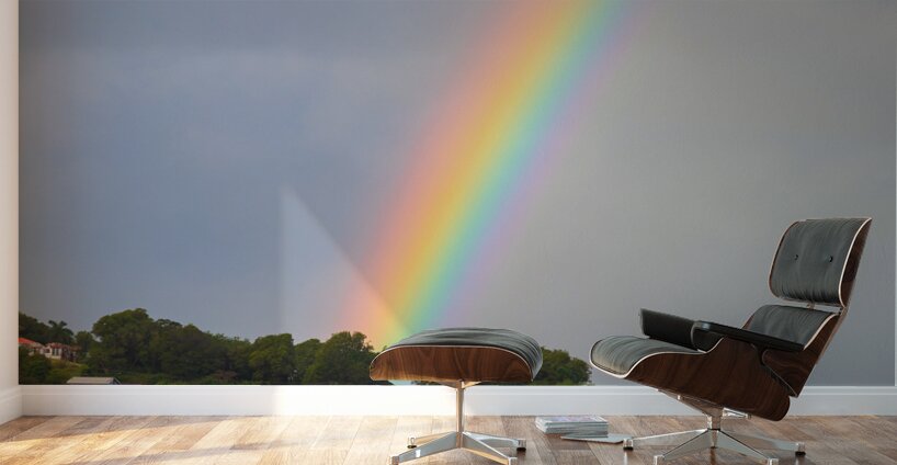 Enchanting Finale of a Vibrant Rainbow Wall Murals