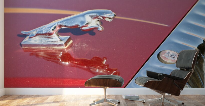 Jaguar Hood Ornamen and Emblem Wall Murals