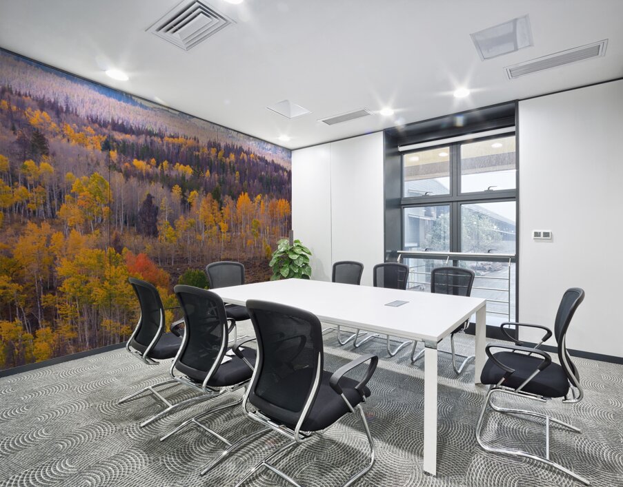 Rocky Mountain Autumn View Wall Printing