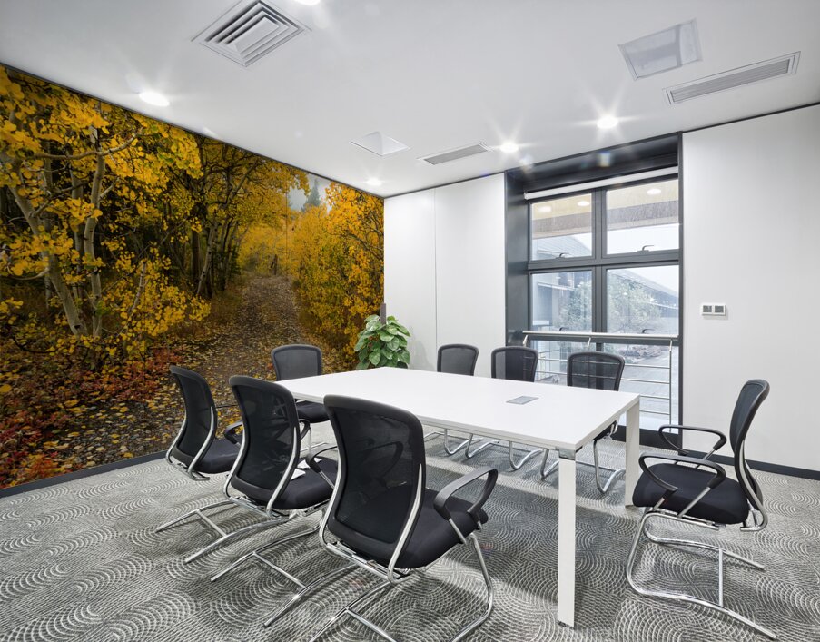 Inviting Autumn Hiking Trail Wall Printing