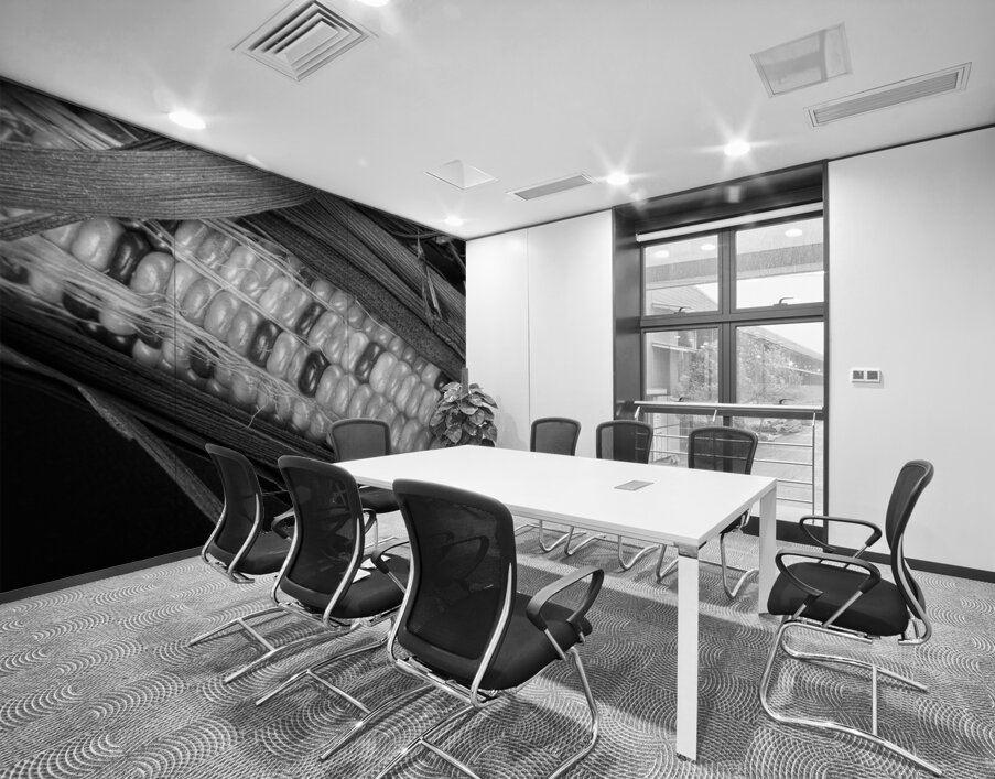 Indian Corn Black and White Wall Printing