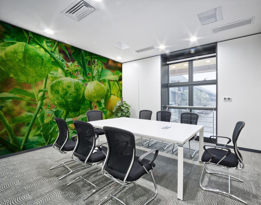 Tomatillos  Wall Printing