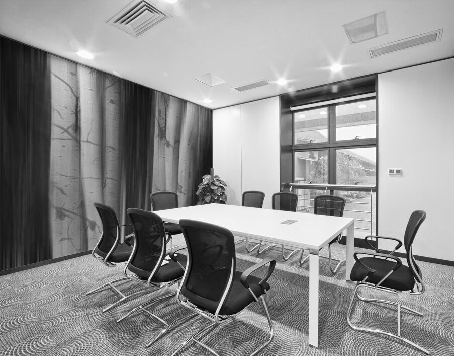 Aspen Tree Colonies Dreaming BW Wall Printing