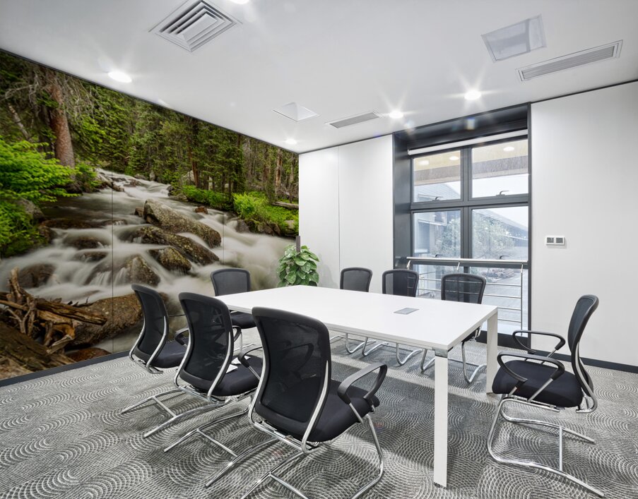 Roosevelt National Forest Stream Wall Printing