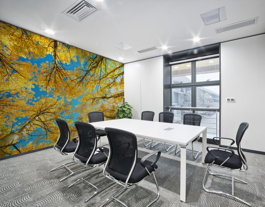 Colorado Aspen Kaleidoscope Wall Printing