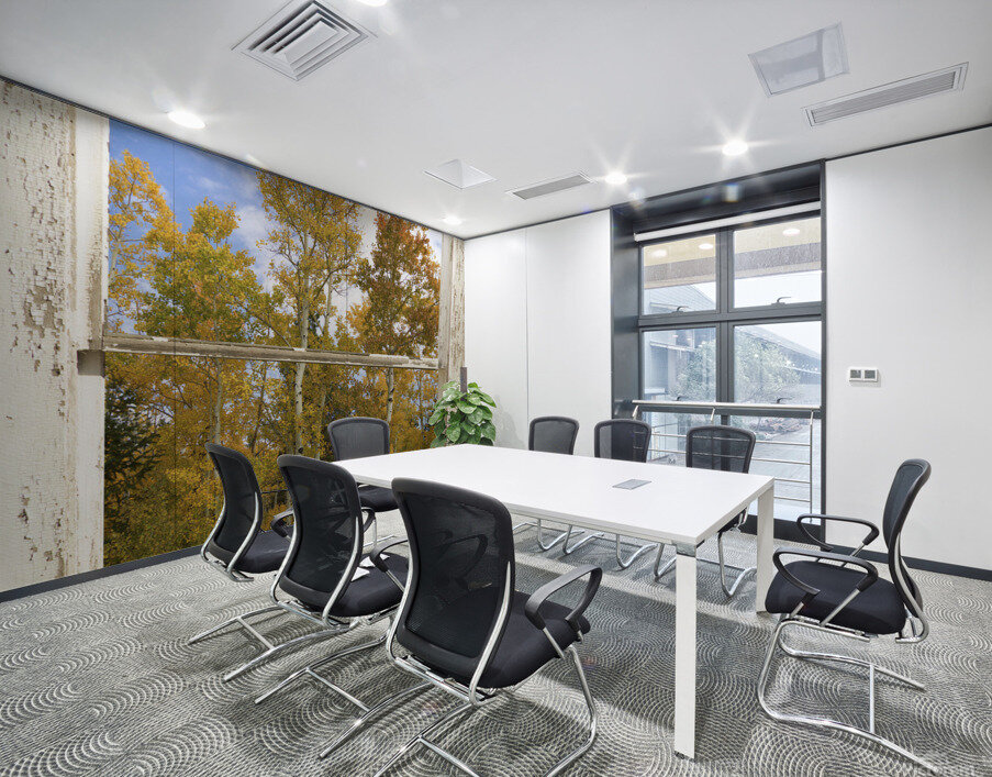 Colorado Autumn Aspens Nature Window View Wall Printing