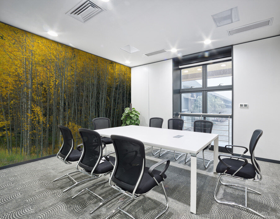 That Morning Autumn Light Wall Printing