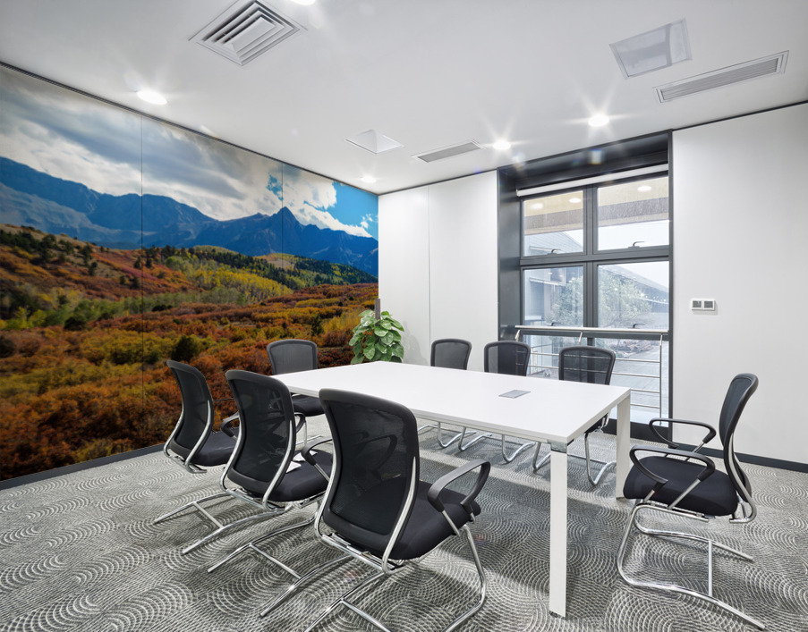 Telluride Panorama 11 Wall Printing