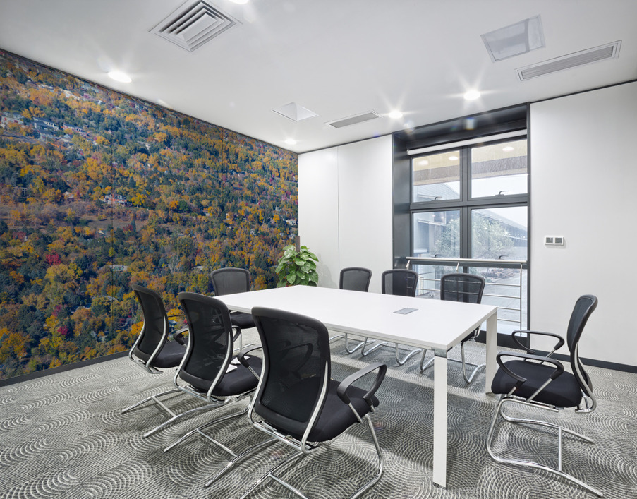 Fall Foliage Boulder Colorado Wall Printing