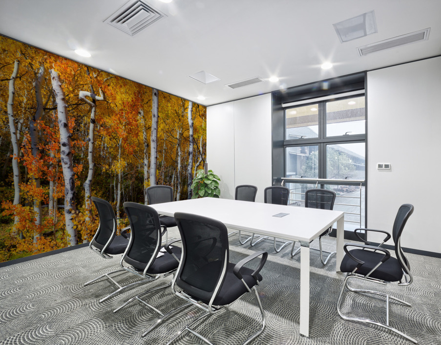 Forest Color Burst Wall Printing