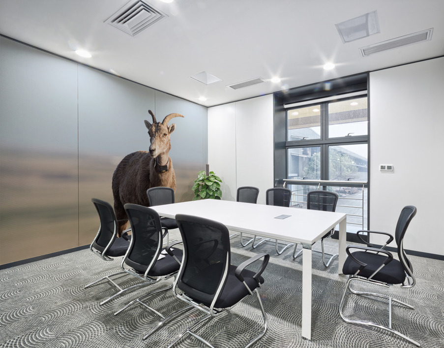 Badlands Bighorn A Glimpse of Audubons Majestic Sheep Wall Printing