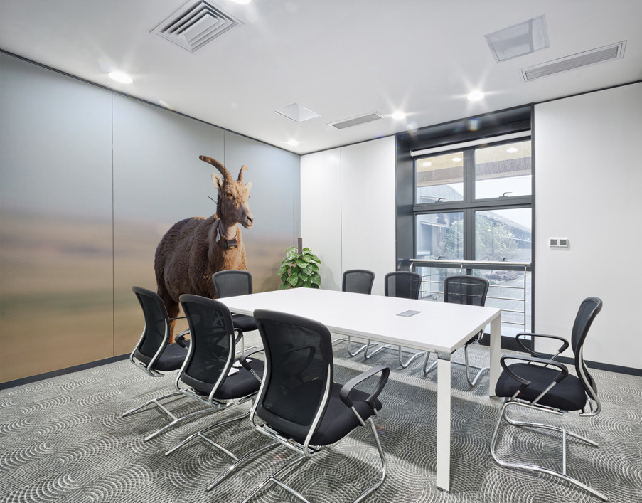 Big Horn Sheep Lucky Number 13 Wall Printing