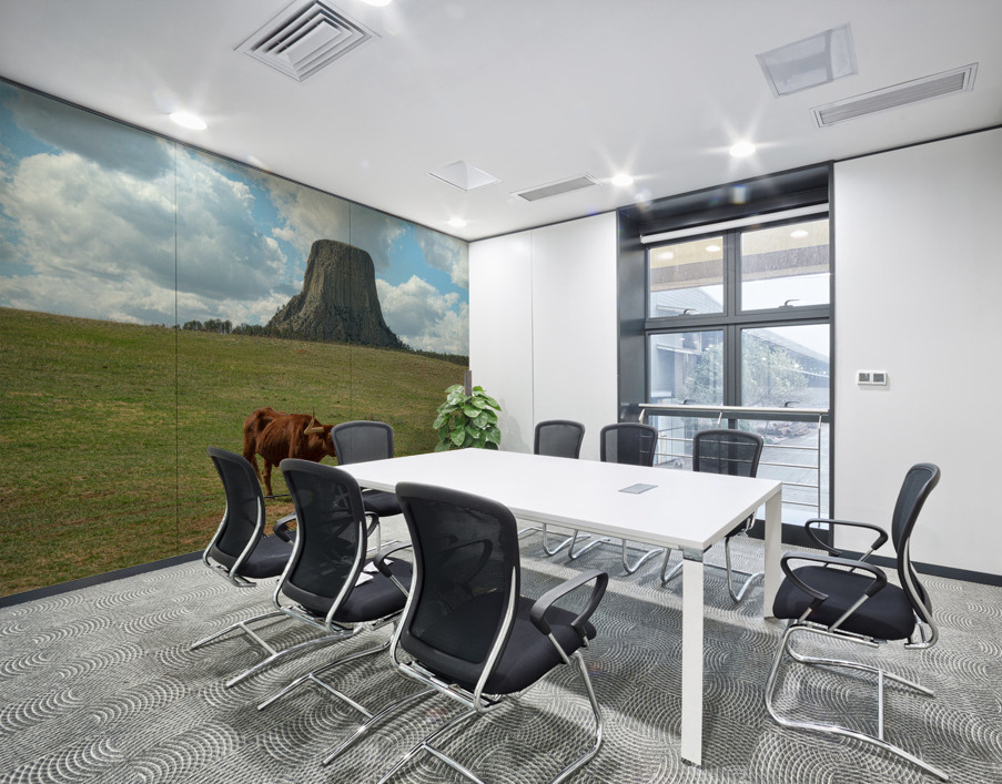 Longhorn Cow Posing at Devils Tower in Wyoming - First US Nation Wall Printing