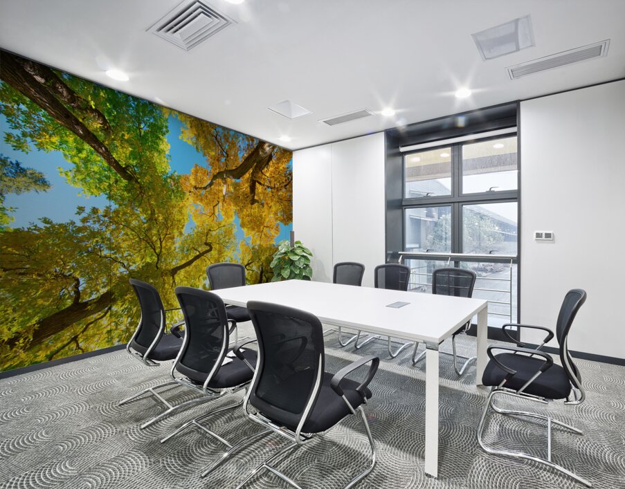 Vibrant Autumn Landscape - Colorful Trees under Blue Sky Wall Printing