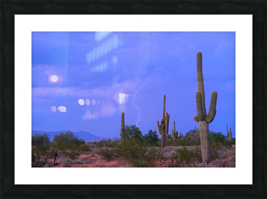 Southwest Sonoran Desert Lightning Strike Picture Frame print