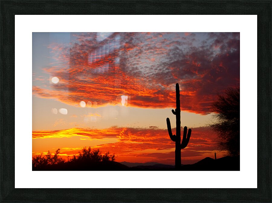  Fiery Arizona Sunset Behind a Silent Saguaro Picture Frame print