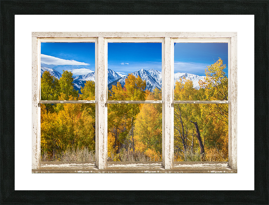 Independence Pass Autumn View White Window Frame print
