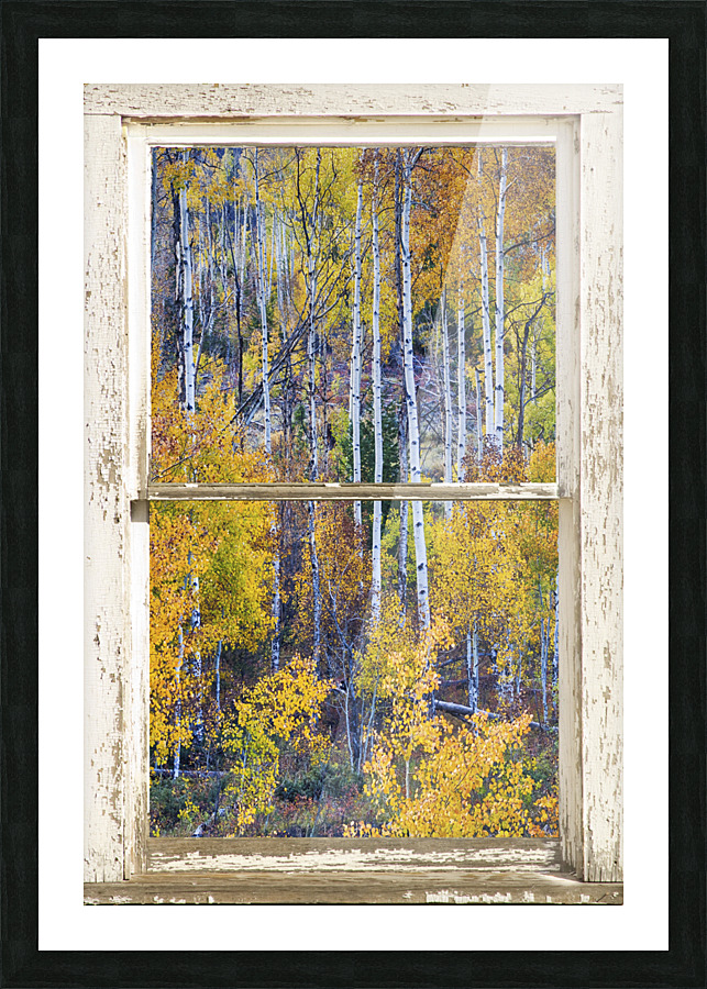 Aspen Autumn Magic White Window Frame print