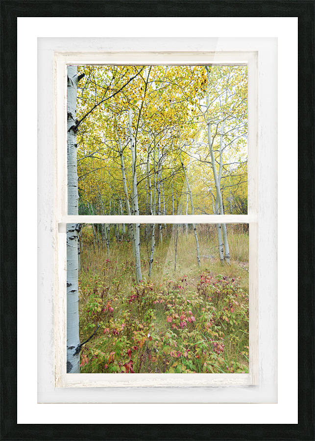 Forest Delight  White Window View Frame print