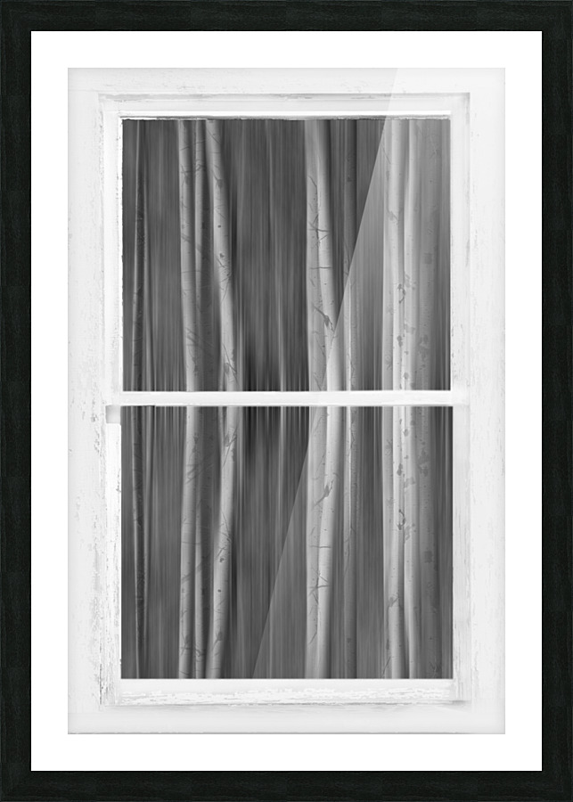 Surreal Dreamy Aspen Forest White Rustic Window Frame print