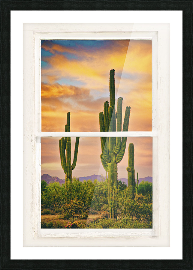  Fine Art print