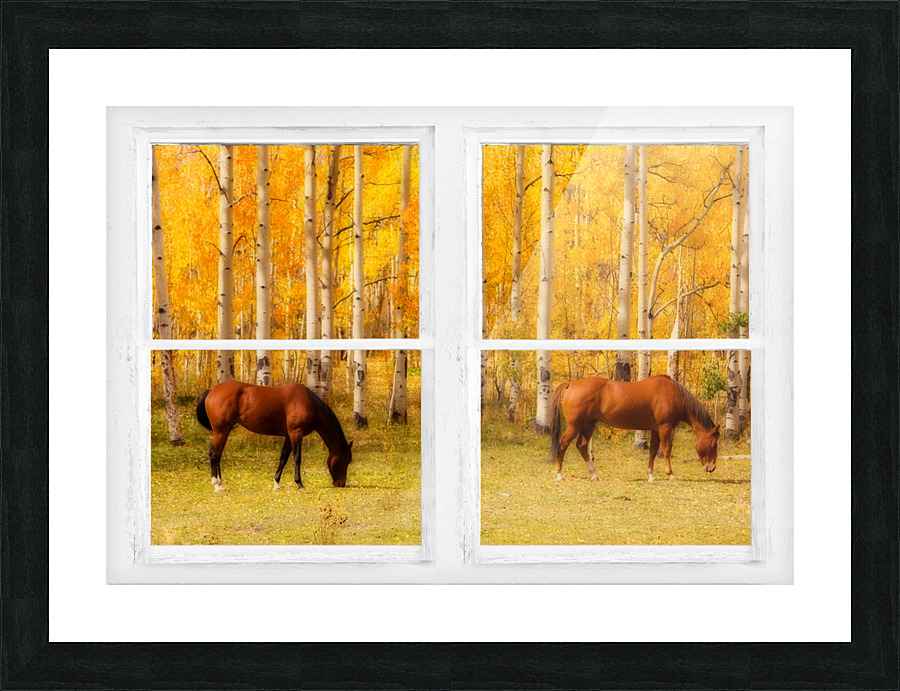 2 Horses Aspen Trees Whitewash Picture Window Frame print