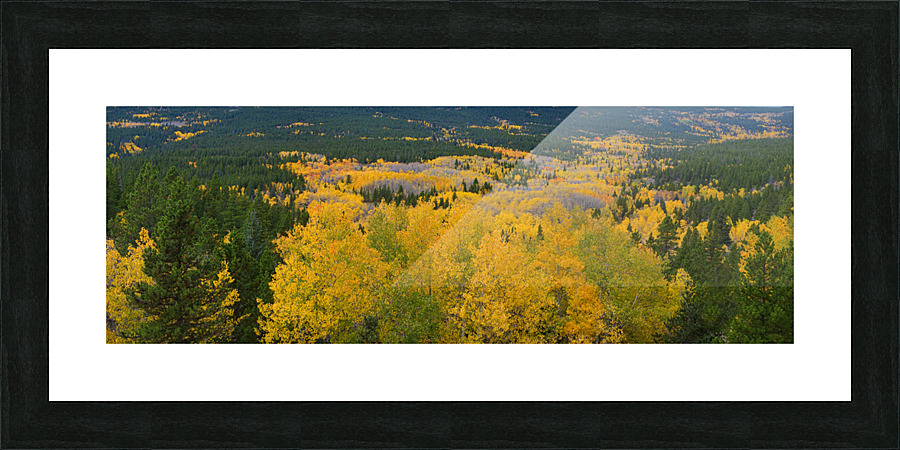 Colorado Autumn Panorama colorful Picture Frame print